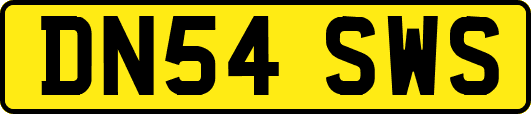 DN54SWS