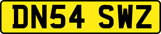 DN54SWZ