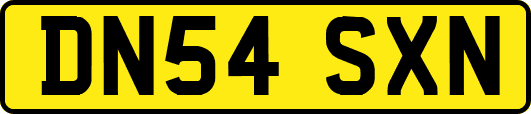 DN54SXN