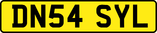 DN54SYL
