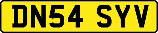 DN54SYV