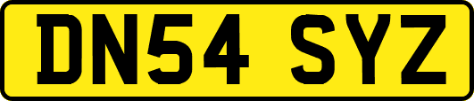 DN54SYZ