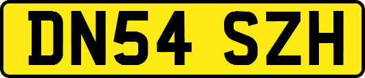 DN54SZH