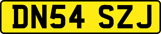 DN54SZJ