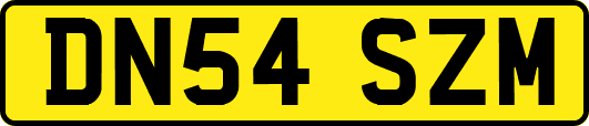 DN54SZM