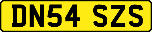 DN54SZS