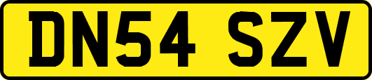 DN54SZV