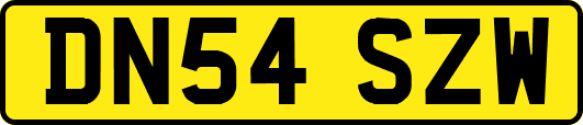 DN54SZW