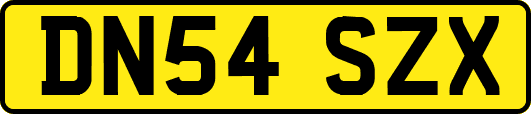 DN54SZX