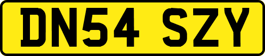 DN54SZY