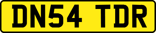 DN54TDR