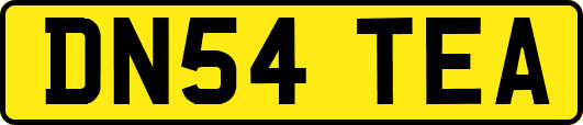 DN54TEA