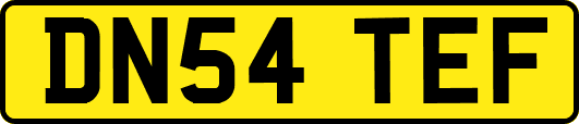 DN54TEF