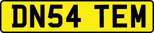 DN54TEM