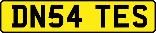 DN54TES