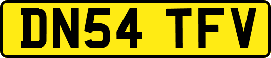 DN54TFV