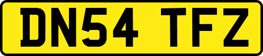 DN54TFZ