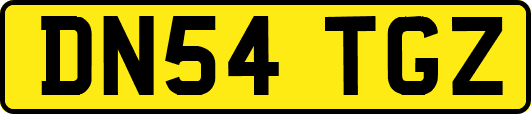DN54TGZ