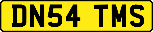 DN54TMS