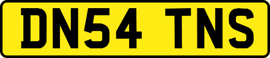 DN54TNS