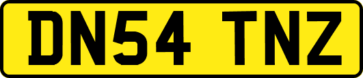 DN54TNZ