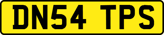DN54TPS
