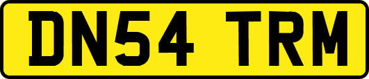 DN54TRM