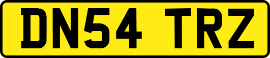 DN54TRZ