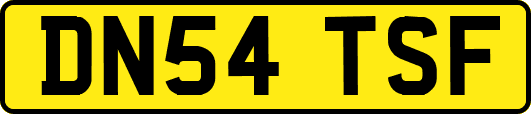 DN54TSF