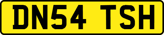DN54TSH