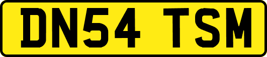 DN54TSM