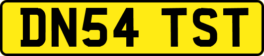 DN54TST