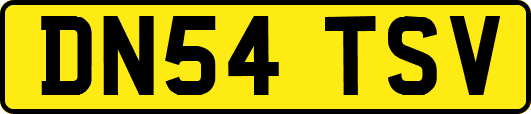 DN54TSV