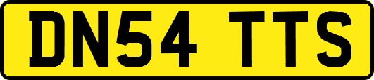 DN54TTS