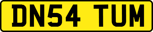 DN54TUM