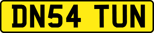 DN54TUN