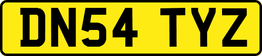 DN54TYZ