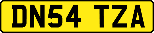 DN54TZA
