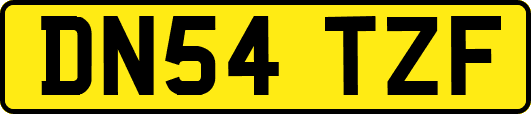DN54TZF