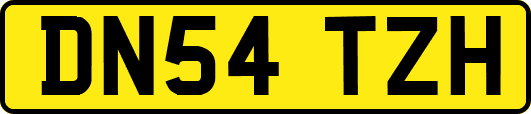 DN54TZH