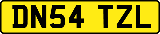 DN54TZL