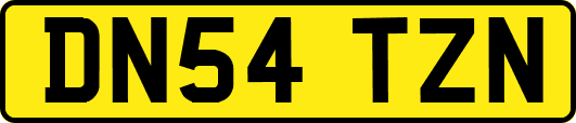 DN54TZN
