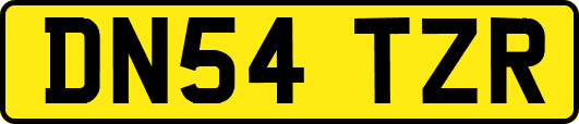 DN54TZR