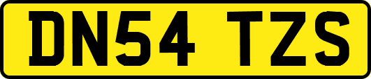 DN54TZS