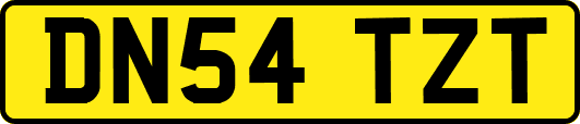 DN54TZT