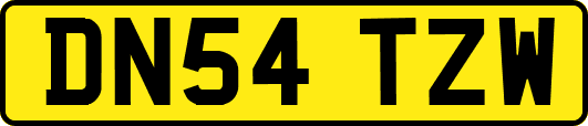 DN54TZW
