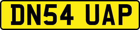 DN54UAP