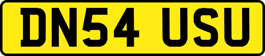 DN54USU