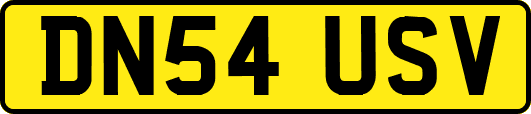 DN54USV