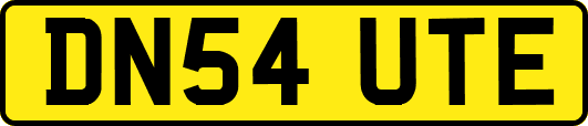 DN54UTE